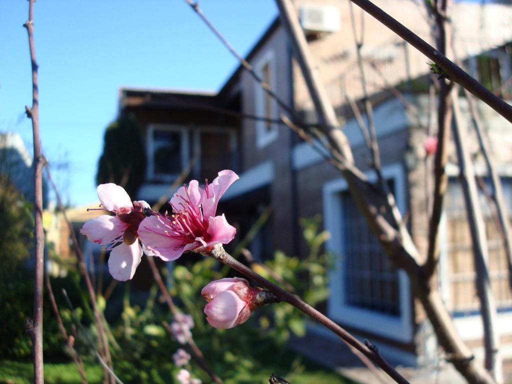 La Demorada Bed & Breakfast San Antonio de Areco Exterior photo